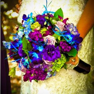 Meet your Posher, Holly